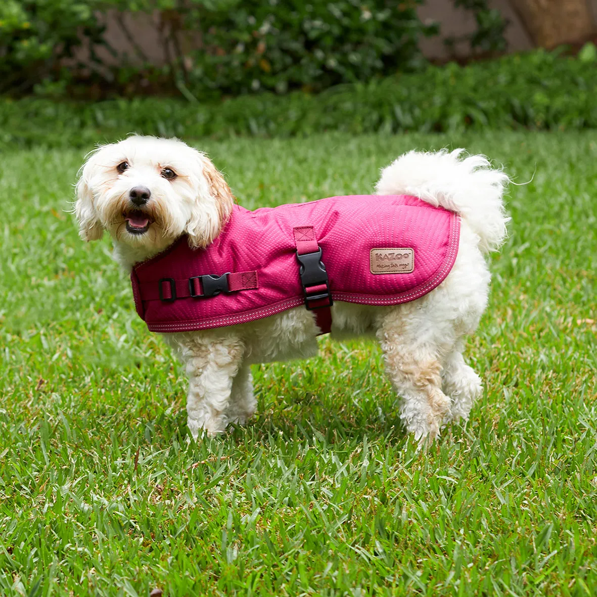 Adventure Dog Coat - Cherry