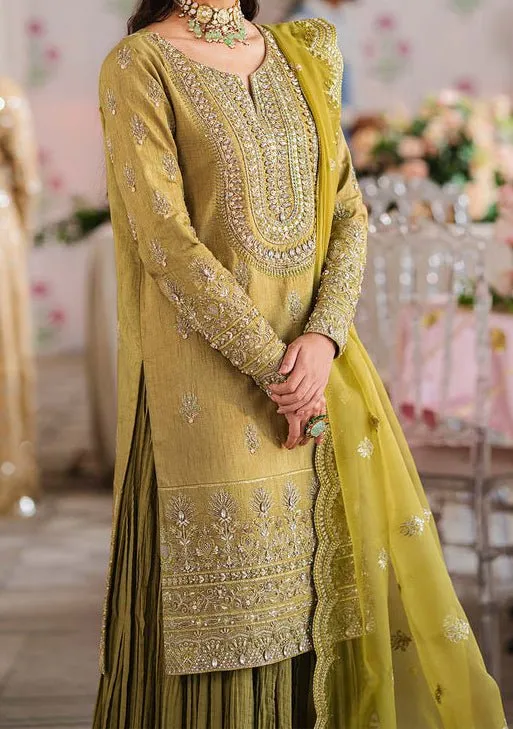 Akbar Aslam Meharzad Pakistani Luxury Raw Silk Dress