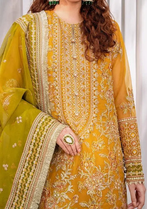 Akbar Aslam Rohi Pakistani Luxury Organza Dress