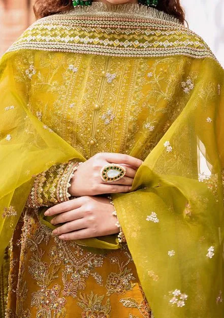 Akbar Aslam Rohi Pakistani Luxury Organza Dress