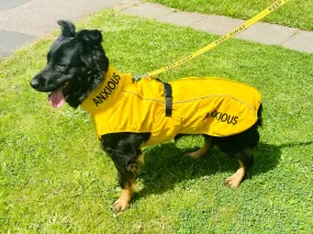 ANXIOUS DOG YELLOW LIGHTWEIGHT RAINCOAT (Extra Large)