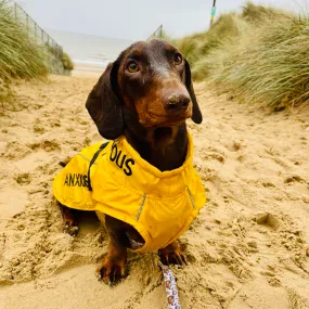 ANXIOUS DOG YELLOW LIGHTWEIGHT RAINCOAT (Medium - Extra Slim)