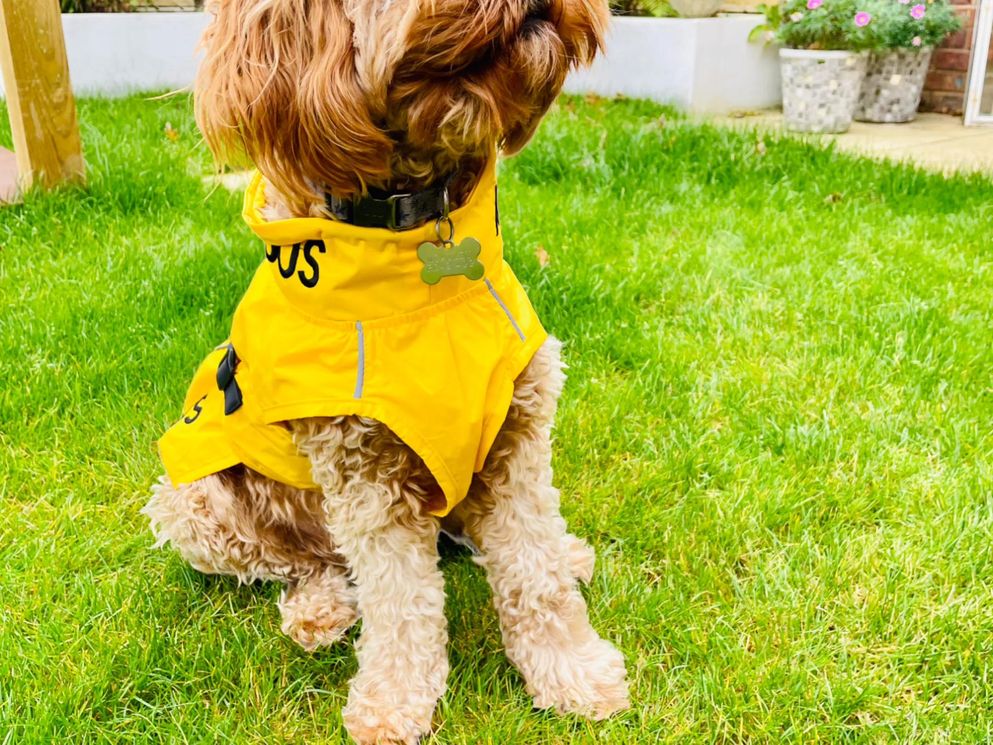 ANXIOUS DOG YELLOW LIGHTWEIGHT RAINCOAT (Medium)