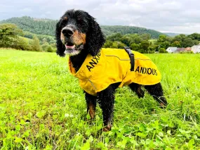 ANXIOUS DOG YELLOW LIGHTWEIGHT RAINCOAT (Medium)