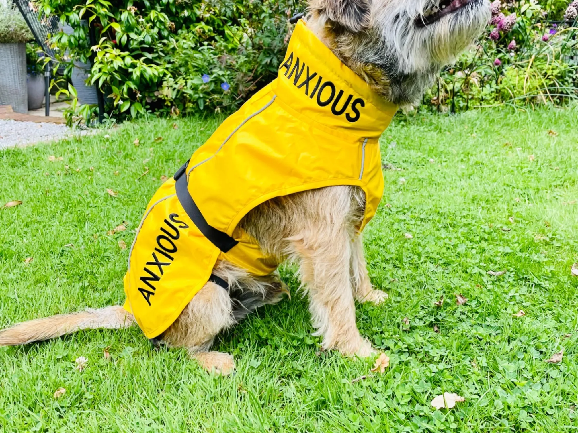 ANXIOUS DOG YELLOW LIGHTWEIGHT RAINCOAT (Medium)