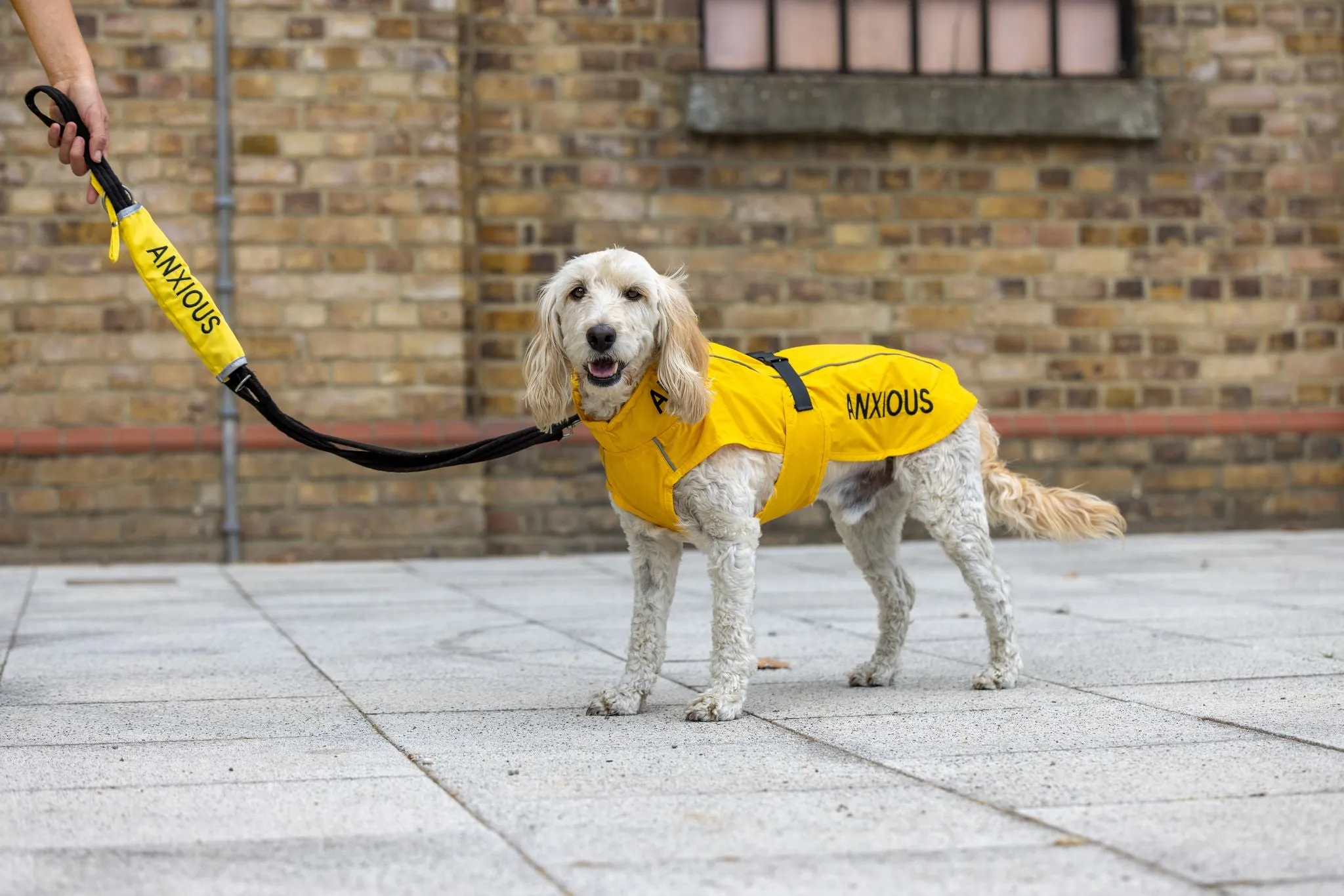 ANXIOUS DOG YELLOW LIGHTWEIGHT RAINCOAT (Medium)