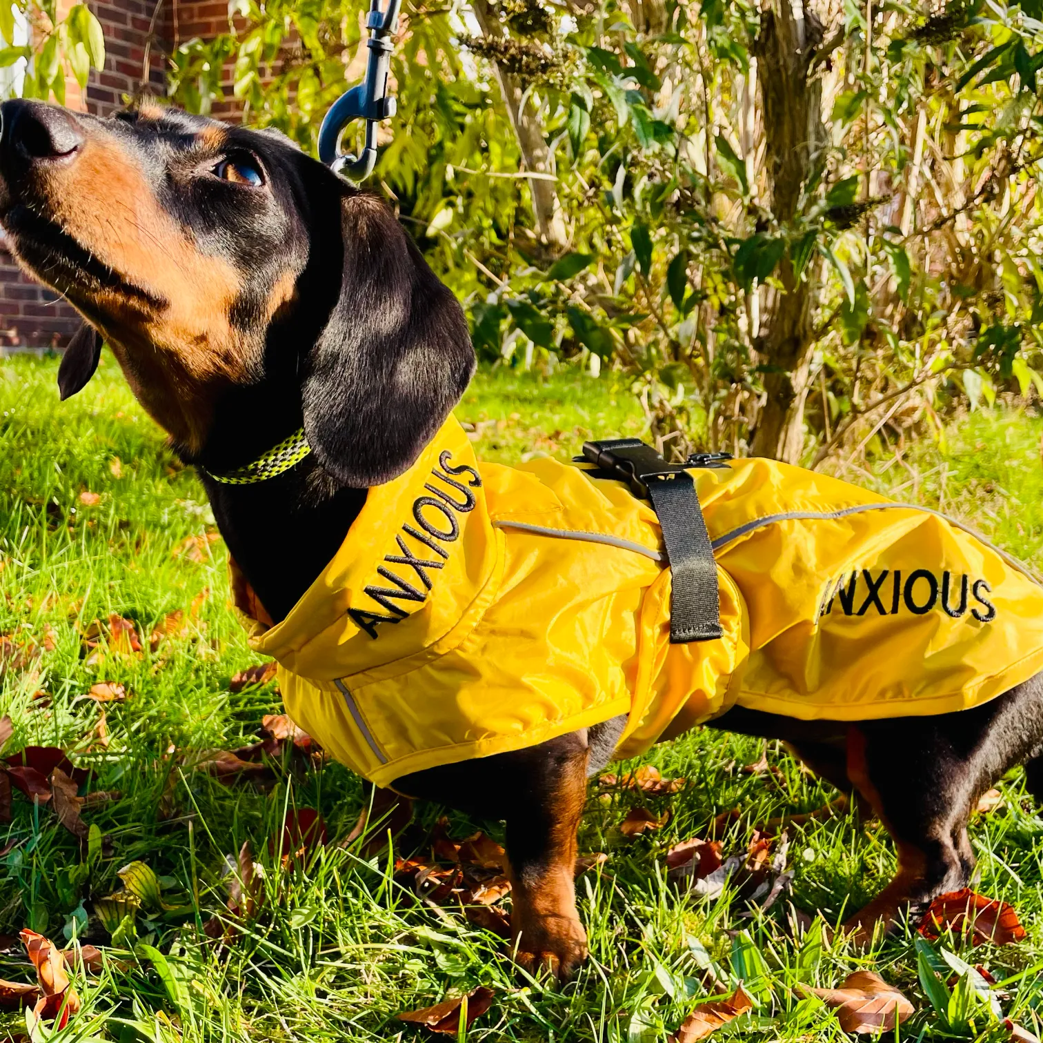 ANXIOUS DOG YELLOW LIGHTWEIGHT RAINCOAT (Small - Extra Slim)