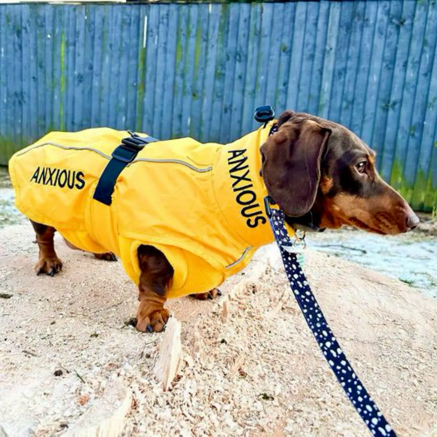 ANXIOUS DOG YELLOW LIGHTWEIGHT RAINCOAT (Small - Extra Slim)