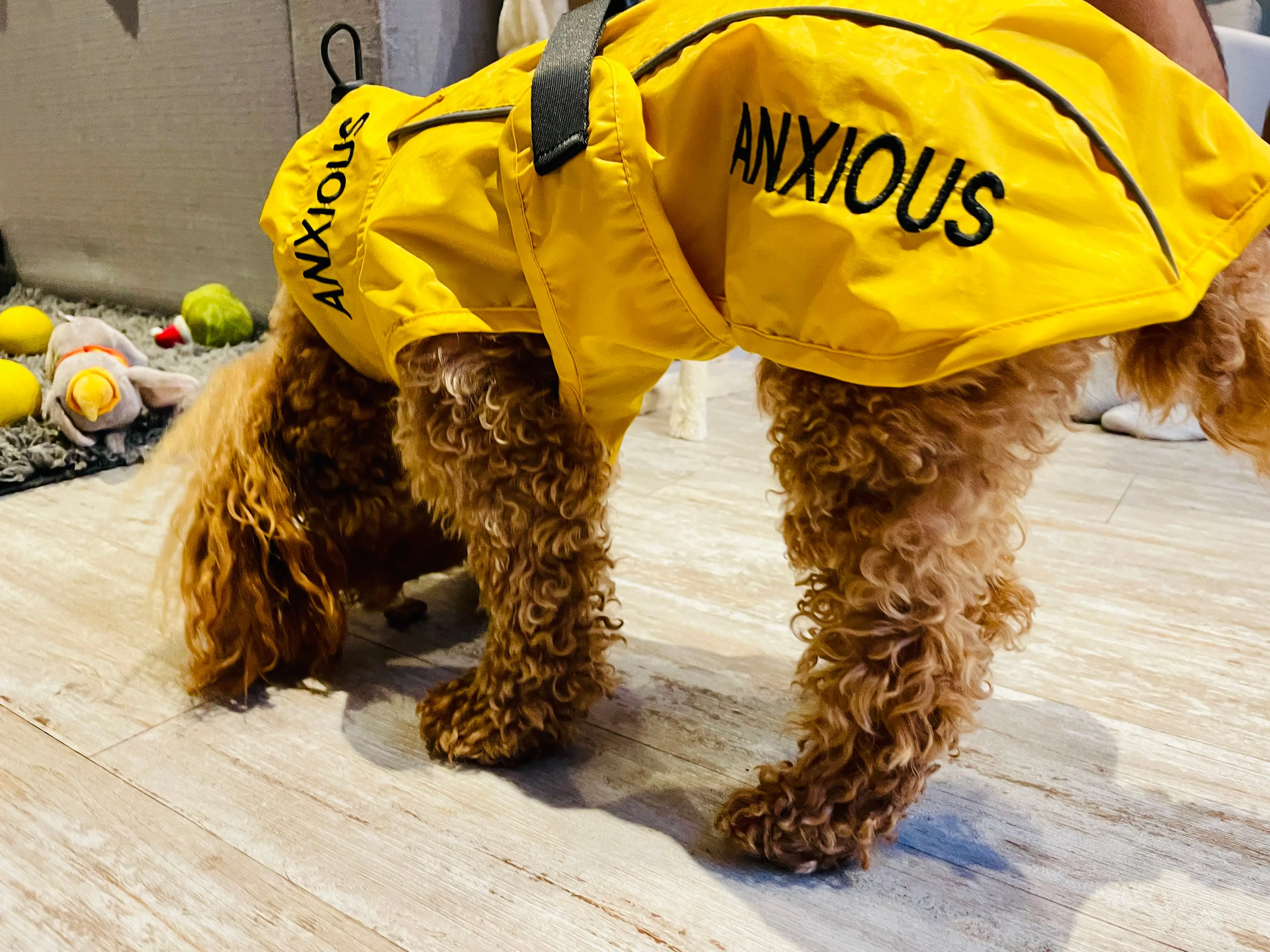 ANXIOUS DOG YELLOW LIGHTWEIGHT RAINCOAT (Small - Extra Slim)