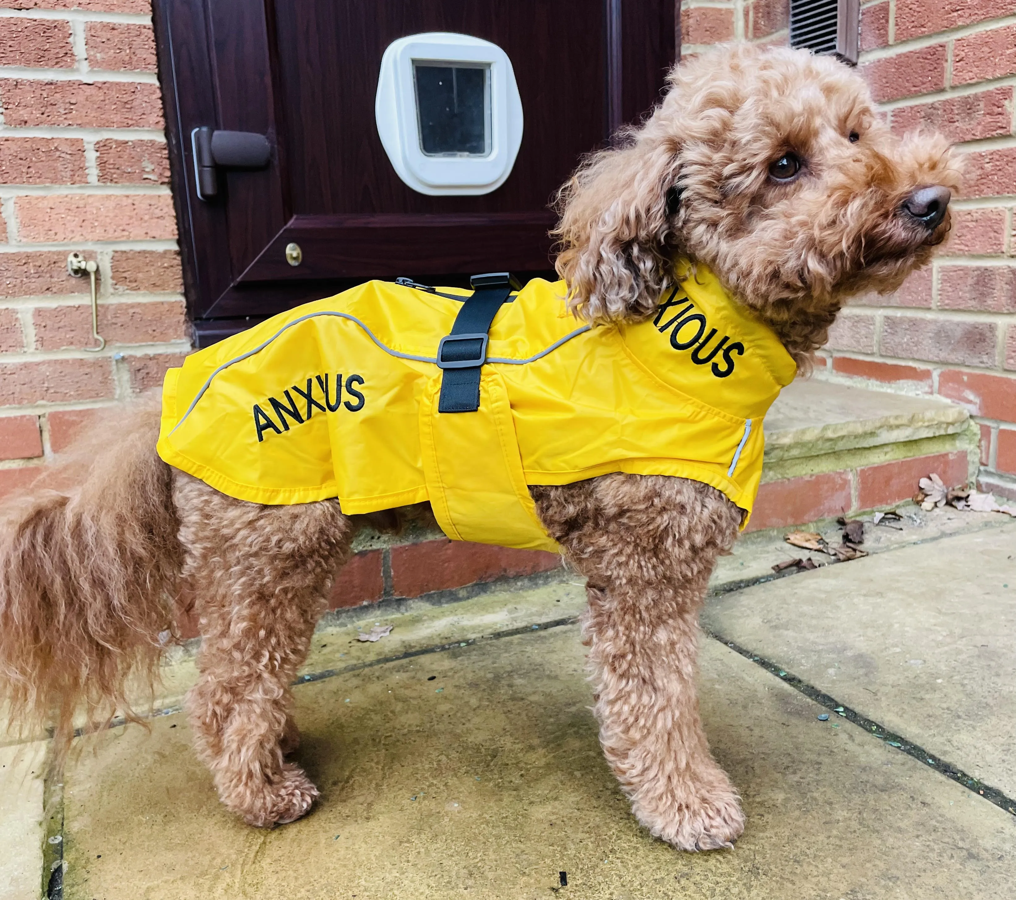 ANXIOUS DOG YELLOW LIGHTWEIGHT RAINCOAT (Small - Slim)