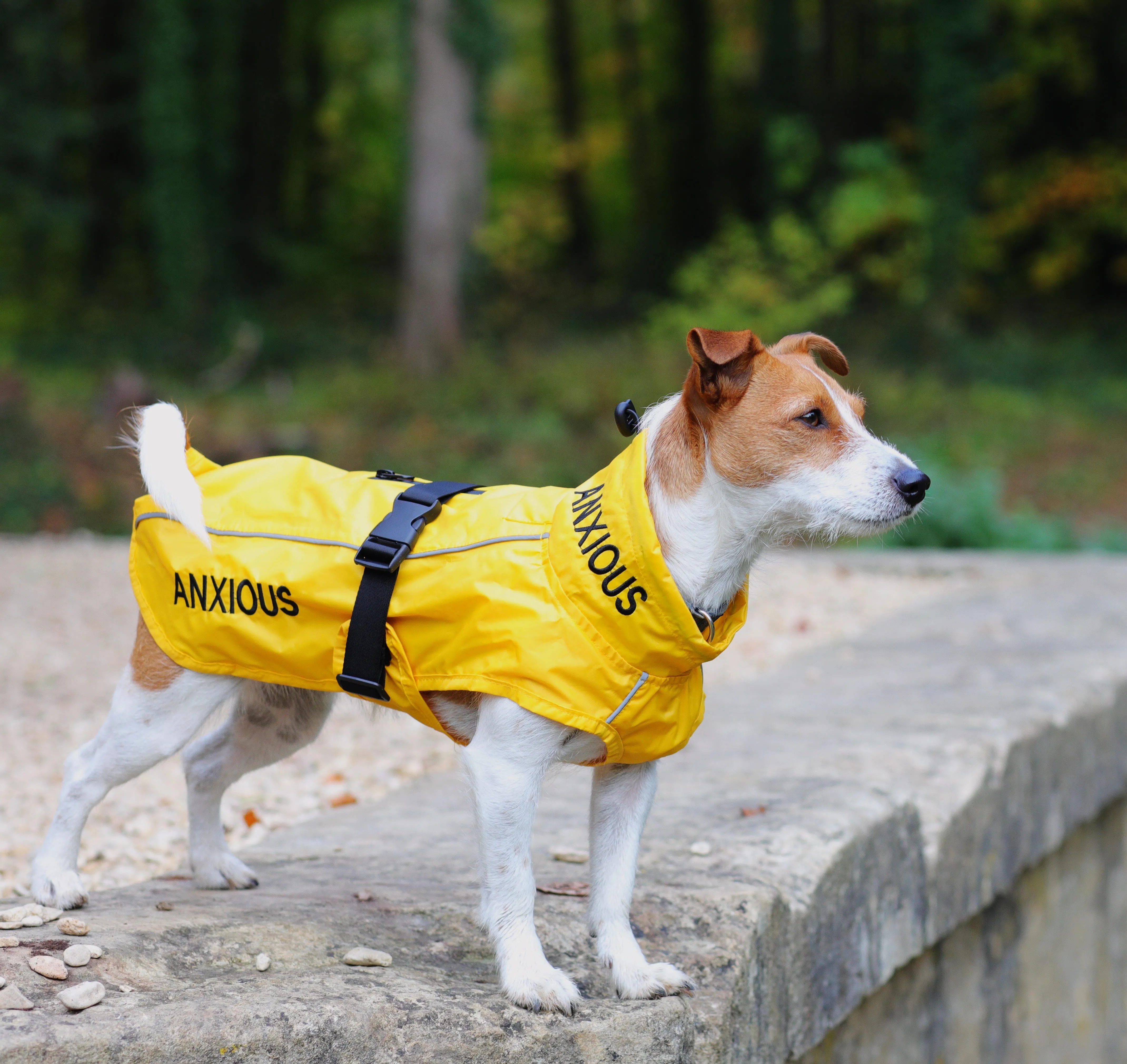 ANXIOUS DOG YELLOW LIGHTWEIGHT RAINCOAT (Small - Slim)