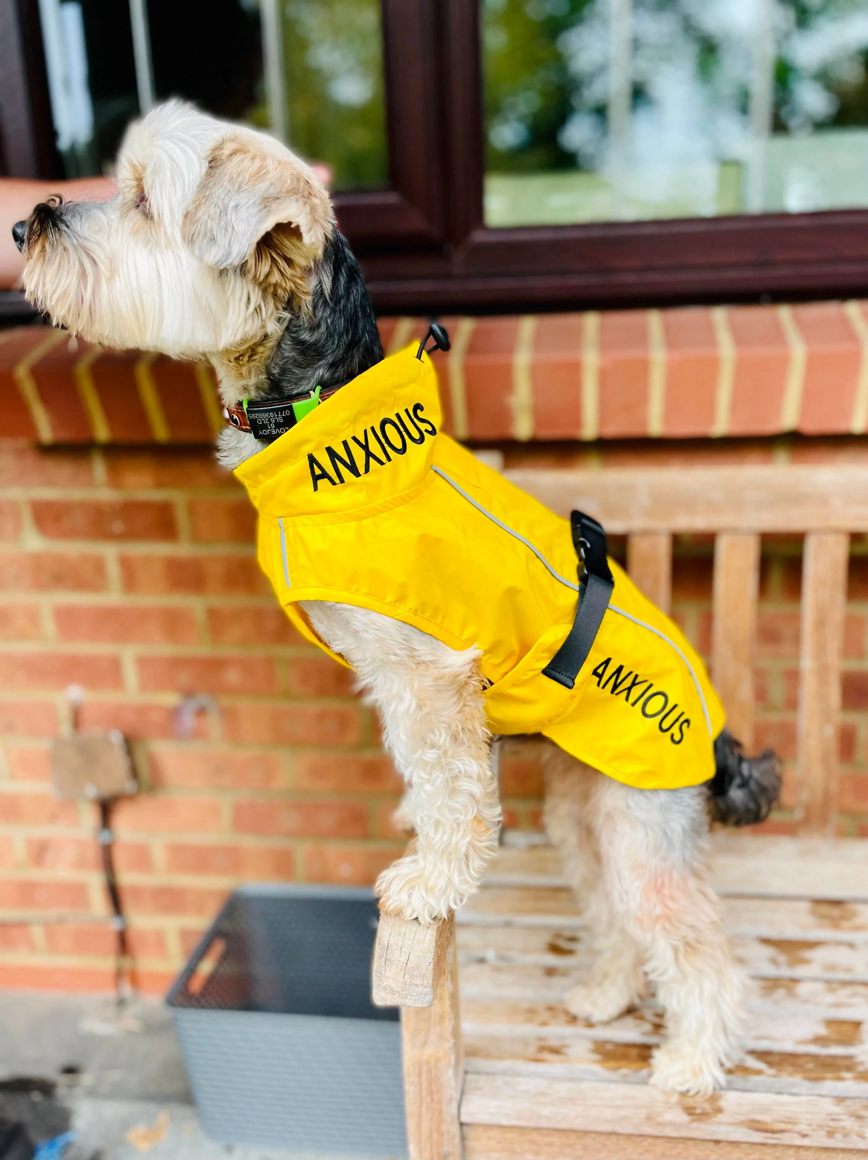 ANXIOUS DOG YELLOW LIGHTWEIGHT RAINCOAT (Small - Slim)