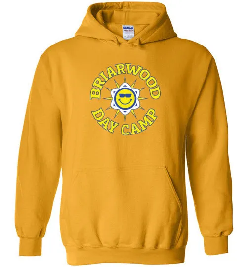 Briarwood Heavy Blend Hoodie