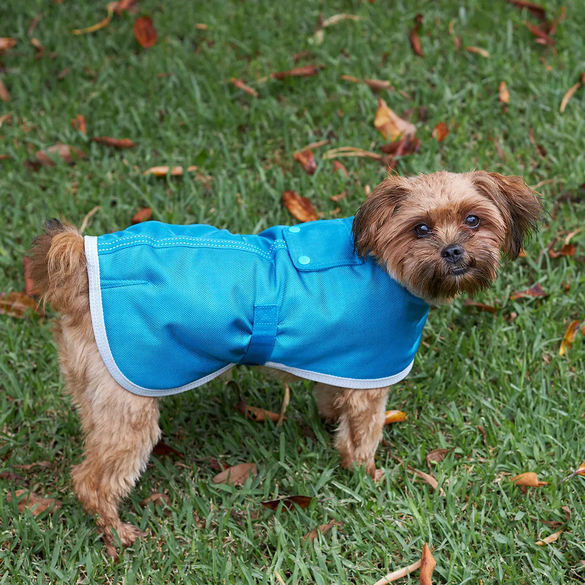 Eco Adventure Dog Coat - Freshwater