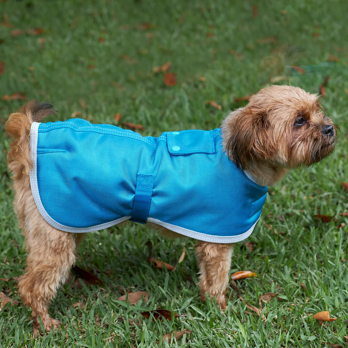 Eco Adventure Dog Coat - Freshwater