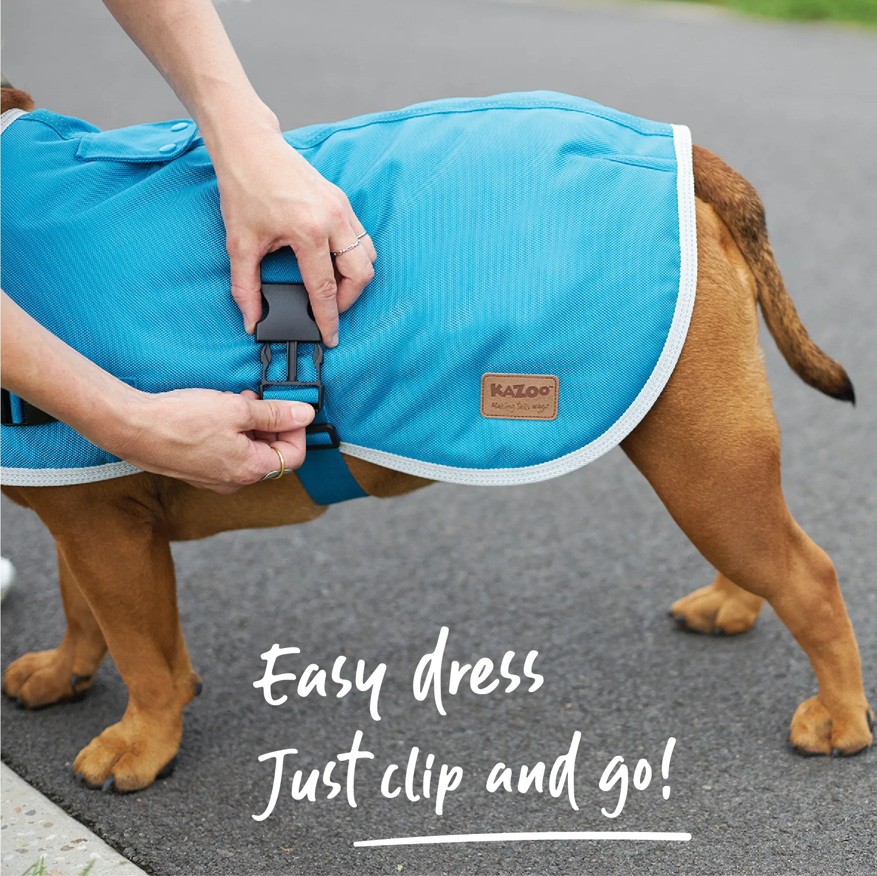 Eco Adventure Dog Coat - Freshwater