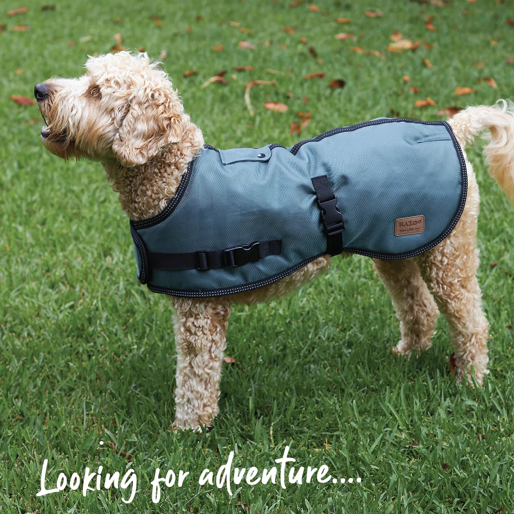 Eco Adventure Dog Coat - Slate