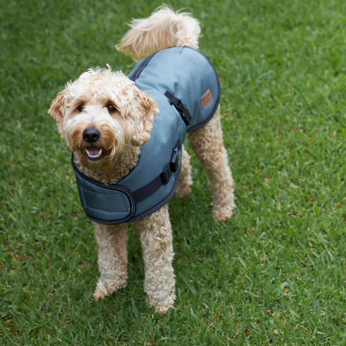 Eco Adventure Dog Coat - Slate