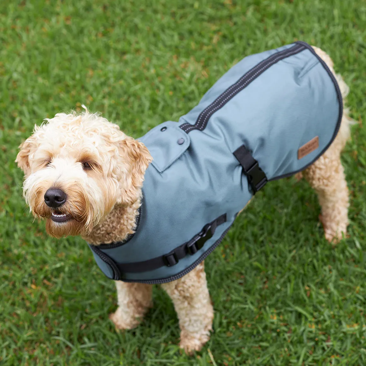 Eco Adventure Dog Coat - Slate