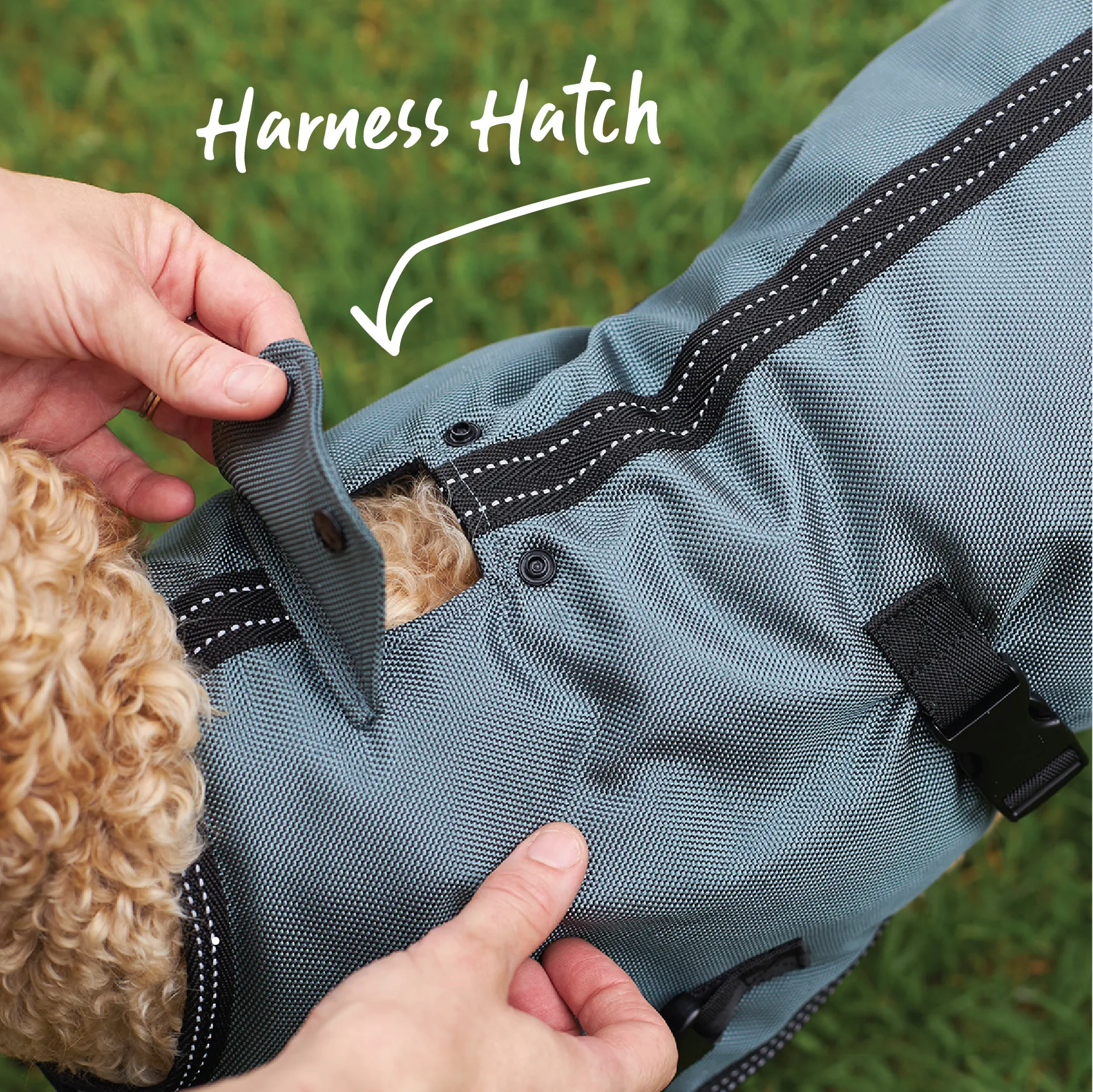 Eco Adventure Dog Coat - Slate