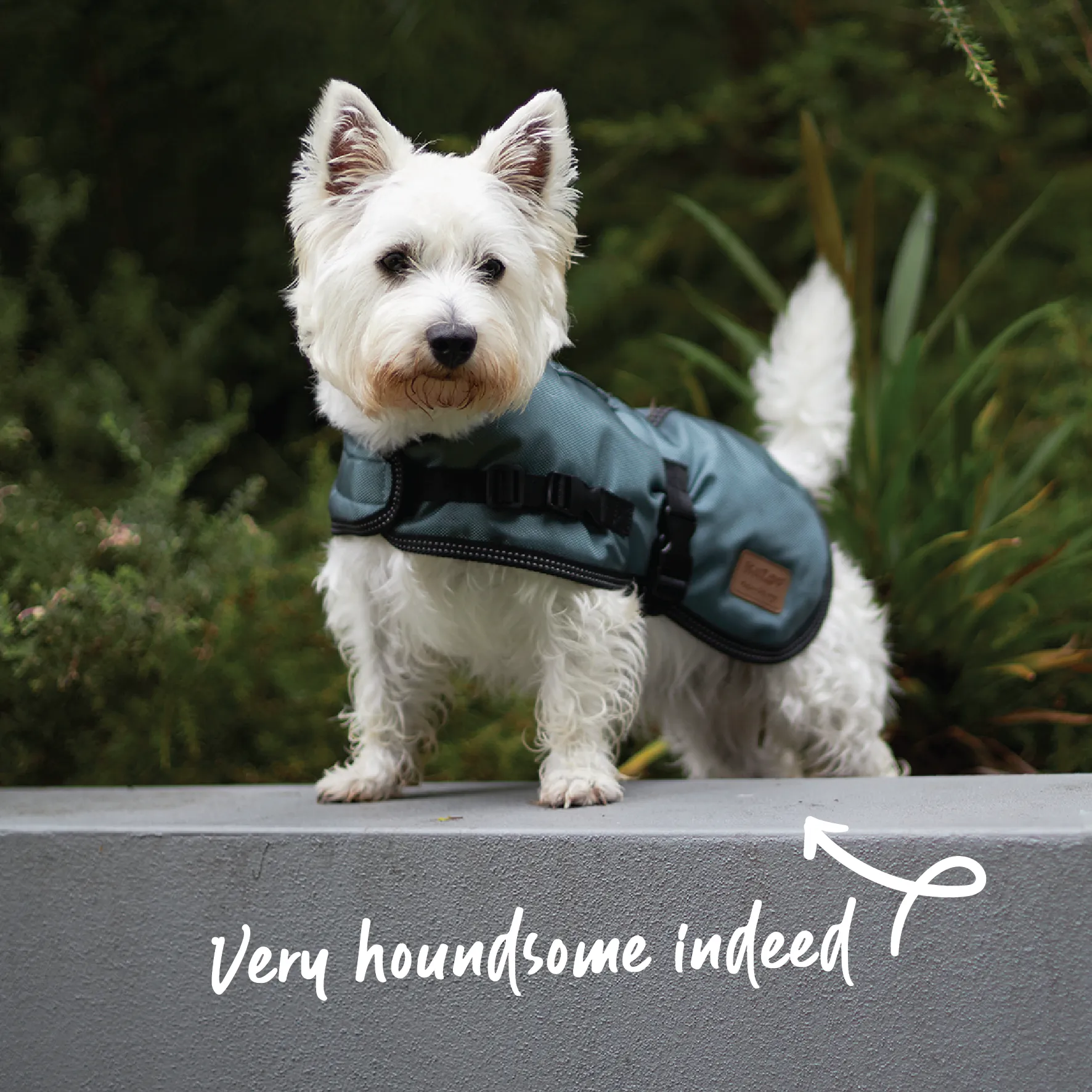 Eco Adventure Dog Coat - Slate