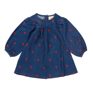 Floess Girls' Berry Denim Herat Dress