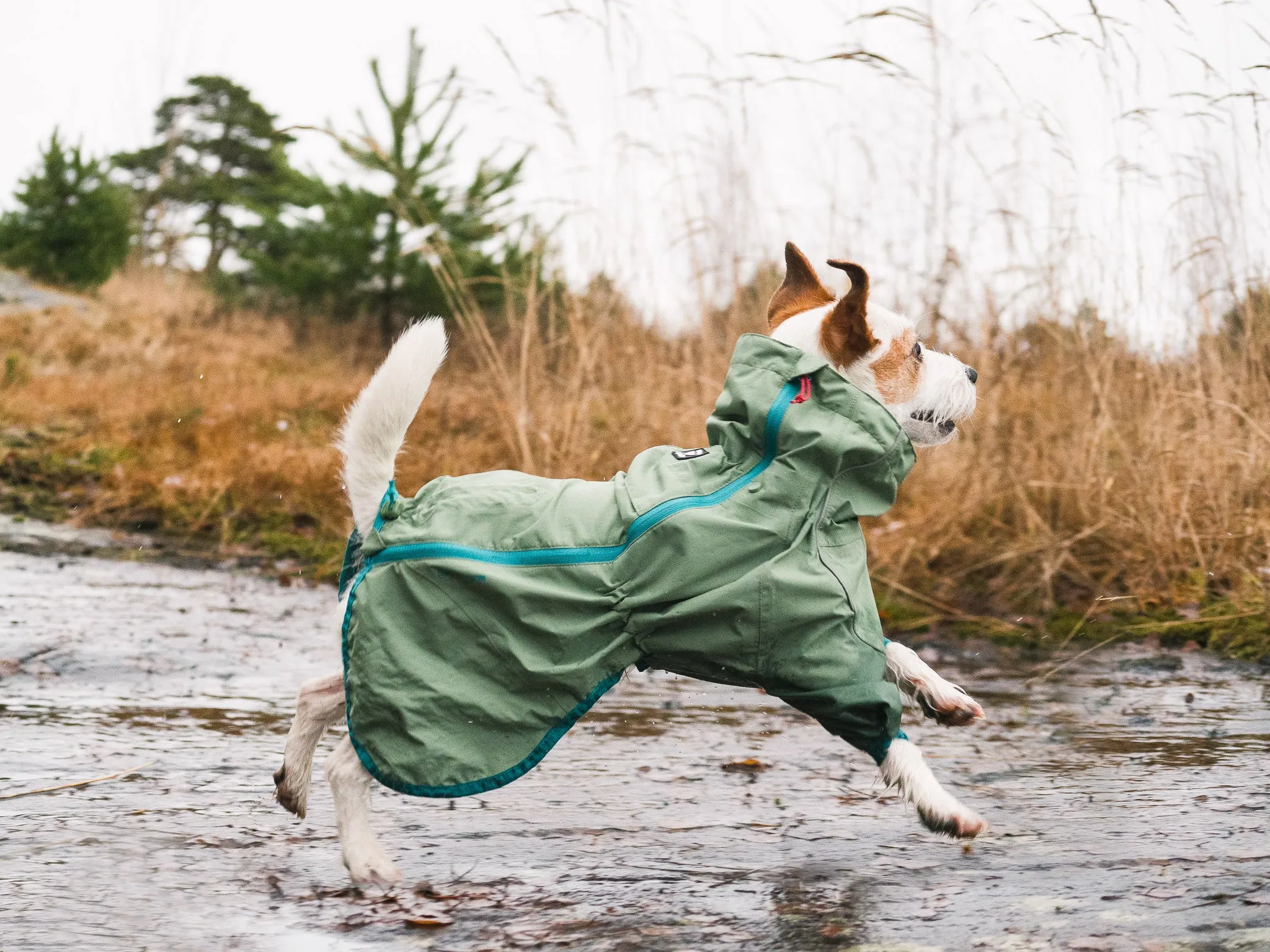 Hurtta Dog Raincoat: Rain Blocker Eco