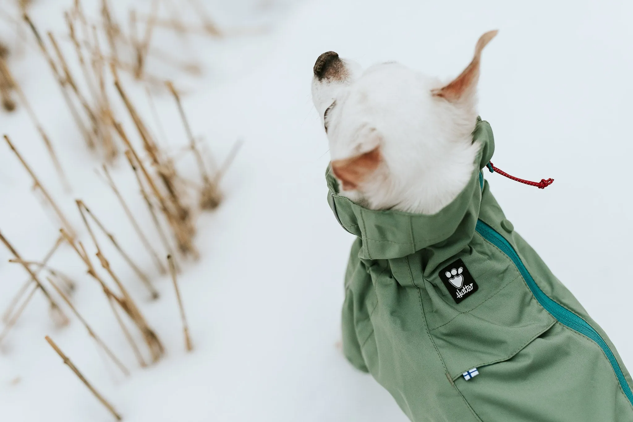 Hurtta Dog Raincoat: Rain Blocker Eco