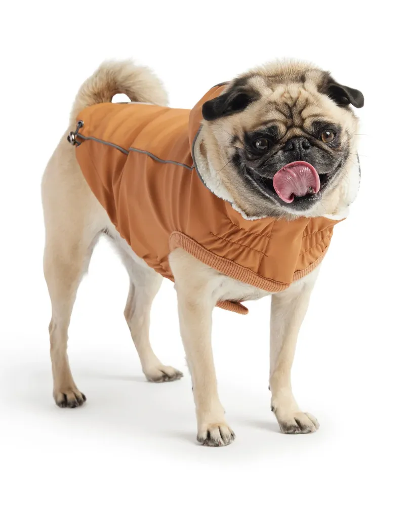 Insulated Raincoat in Hazel