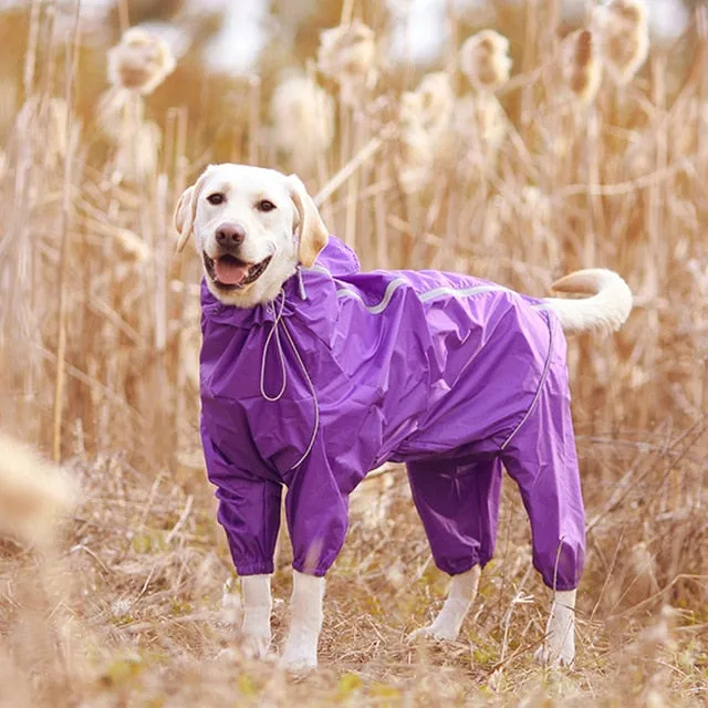 Jerico Dog Raincoat