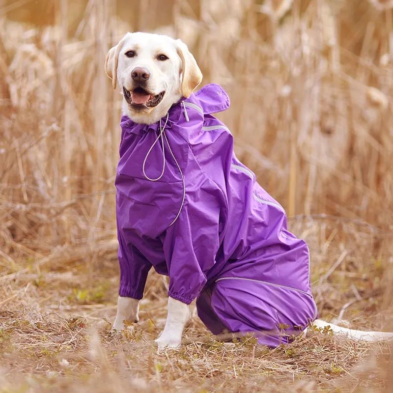 Jerico Dog Raincoat