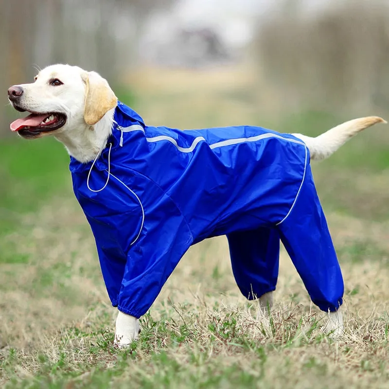 Jerico Dog Raincoat