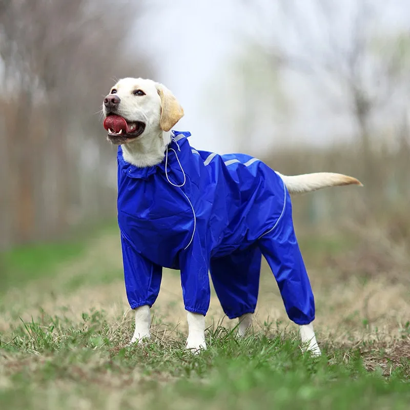 Jerico Dog Raincoat