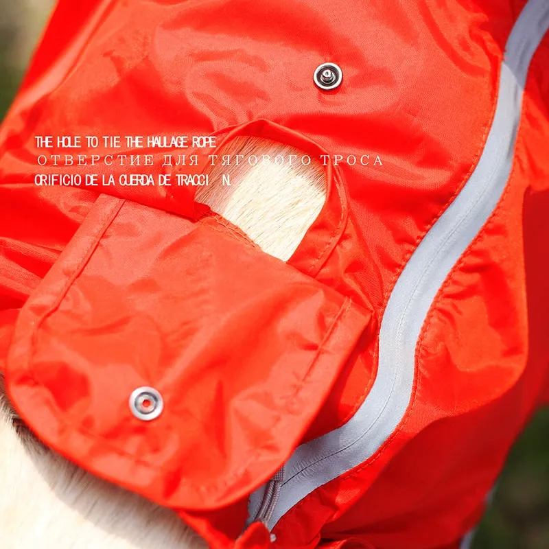 Jerico Dog Raincoat