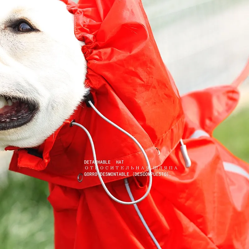 Jerico Dog Raincoat