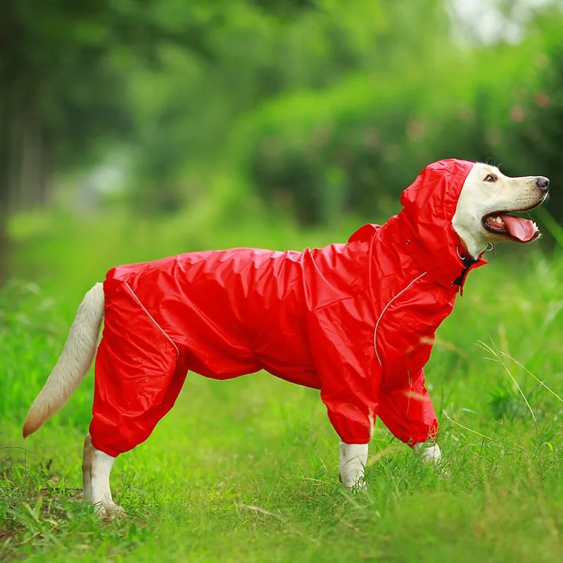 Jerico Dog Raincoat