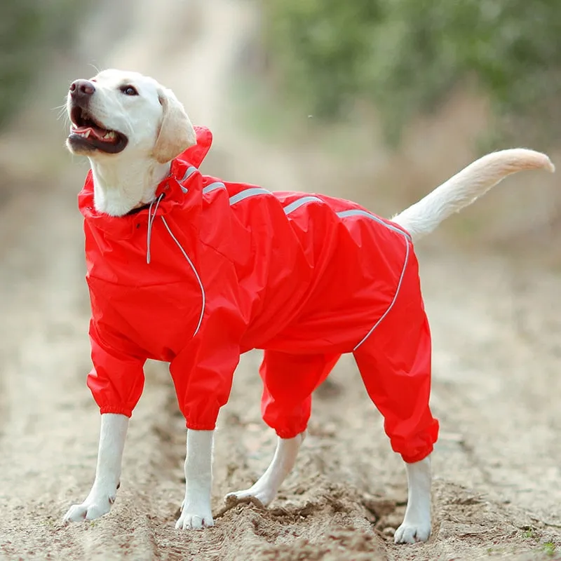 Jerico Dog Raincoat