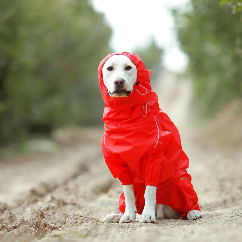 Jerico Dog Raincoat