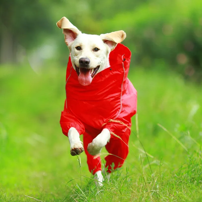 Jerico Dog Raincoat