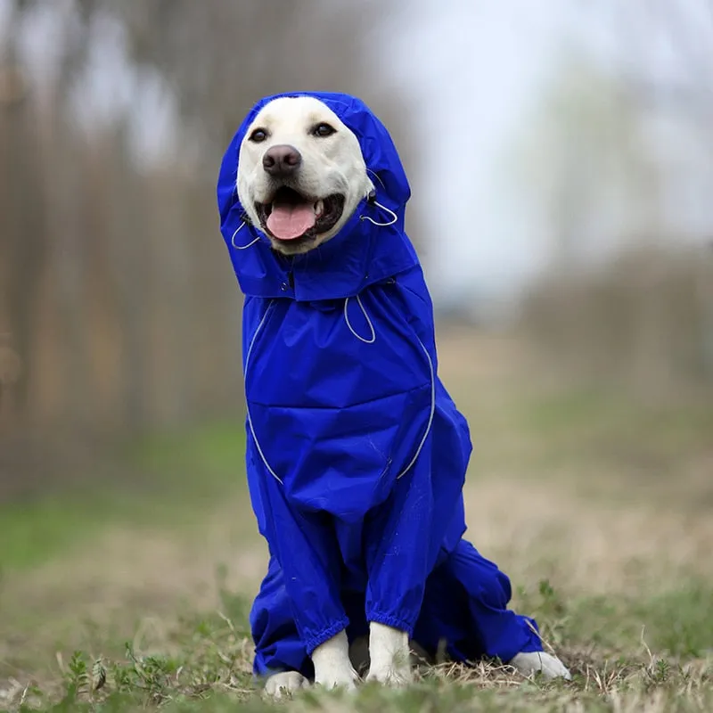 Jerico Dog Raincoat