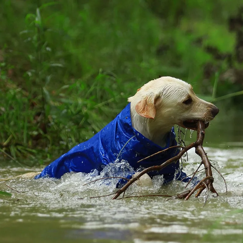 Jerico Dog Raincoat