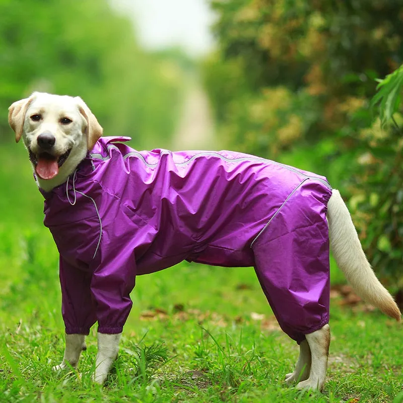 Jerico Dog Raincoat