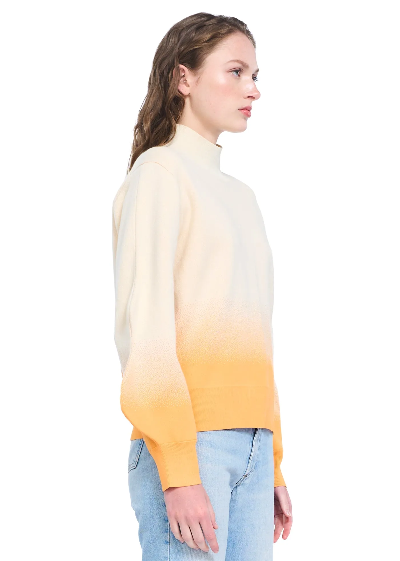 PH5 Liko Gradient Print Mockneck With Wavy Sleeves