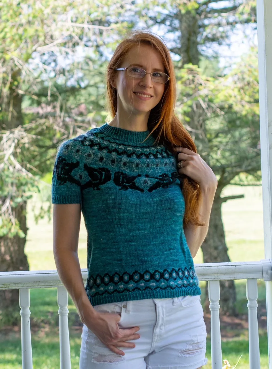 Ravenous Pullover Fingering Weight Hand Knitting Pattern