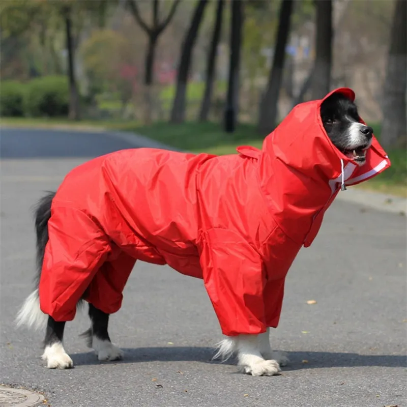 River Ridge Dog Raincoat