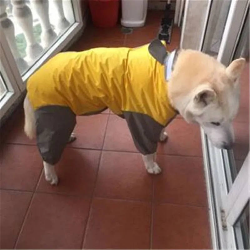 River Ridge Dog Raincoat