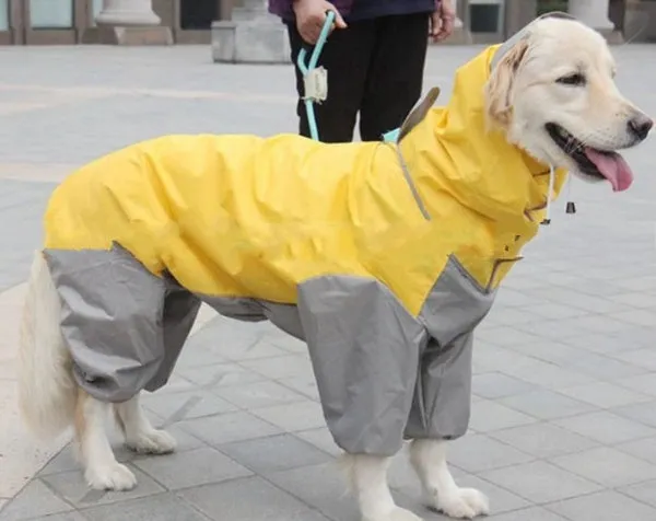 River Ridge Dog Raincoat