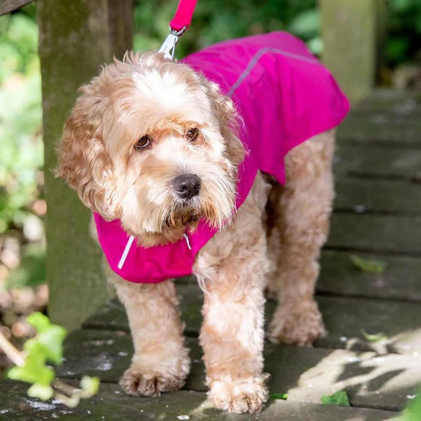 RuffWear Sun Shower Rain Jacket