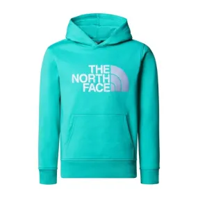 The North Face Boys Drew Peak Hoodie Geyser Aqua