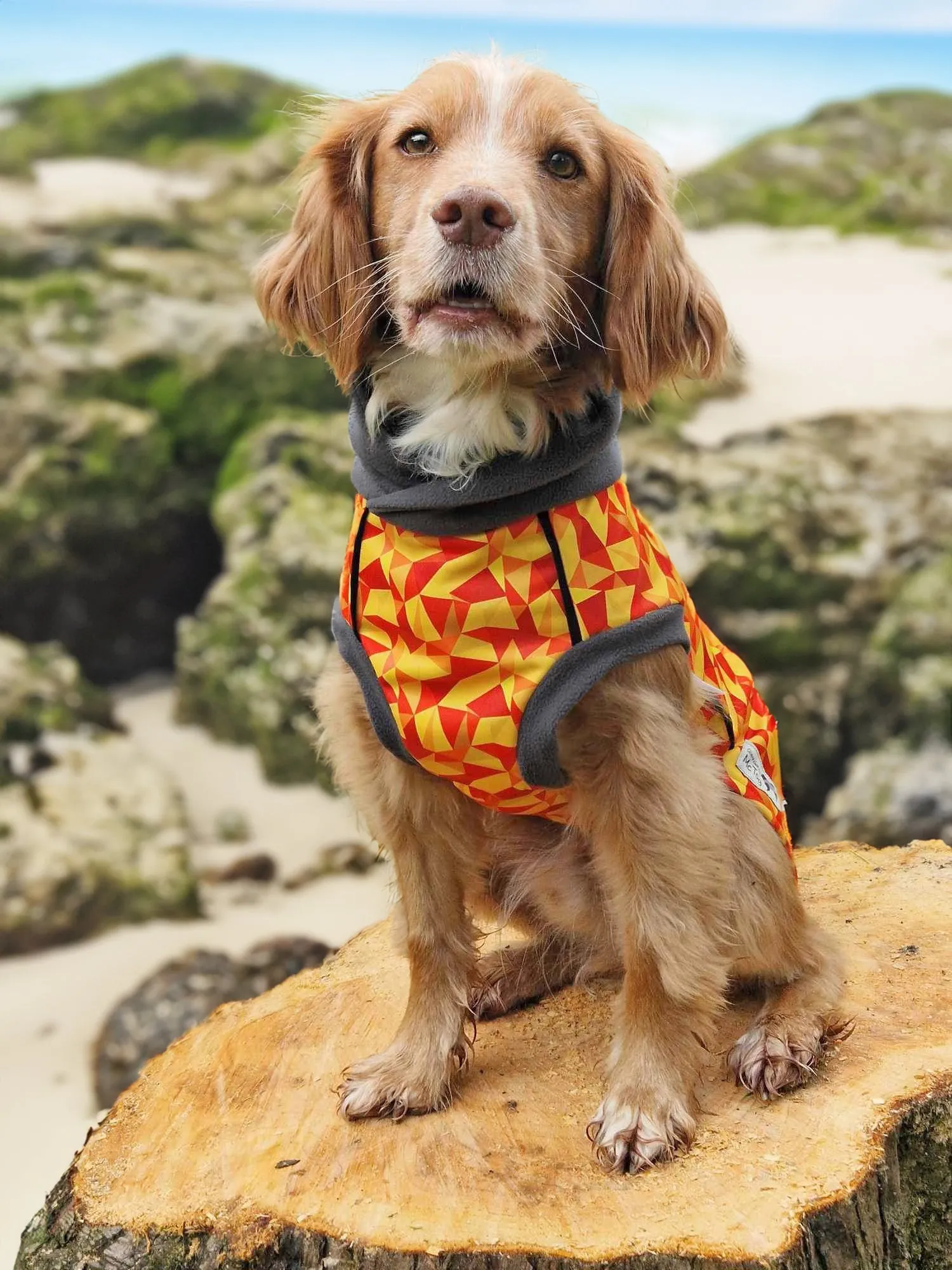 Trailblazer Waterproof Microfleece McTog Dog Jumper